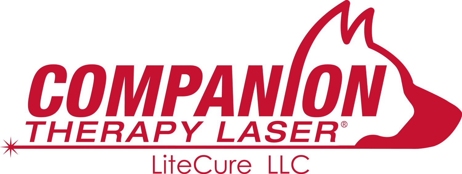 Laser Therapy Laser Therapy