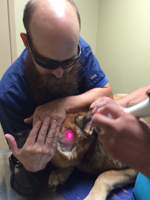 Laser Therapy Treatment