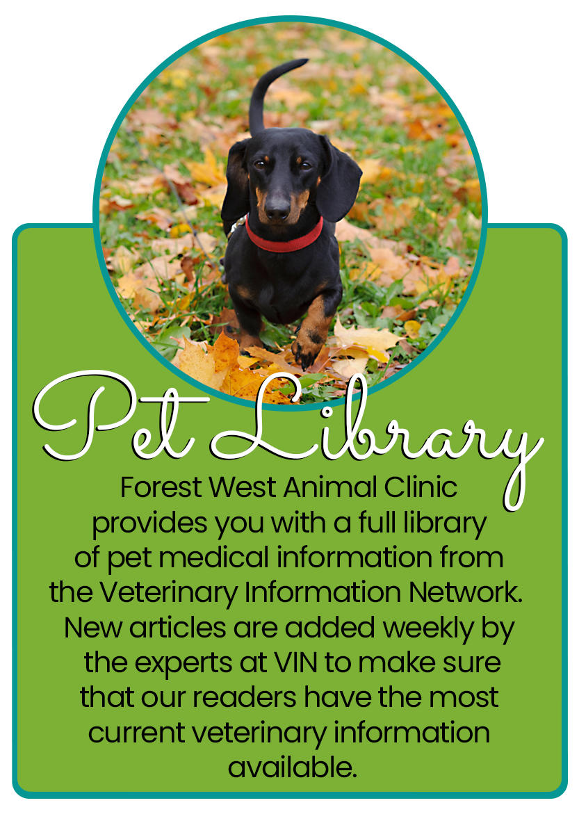 Pet Library infographic