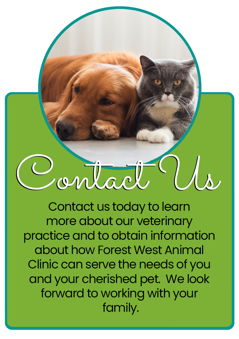 Contact Us infographic