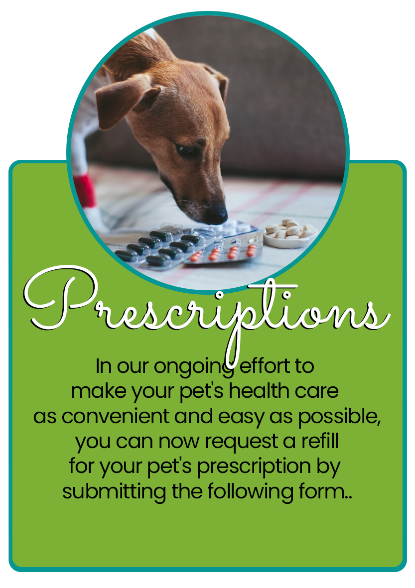 Prescriptions infographic